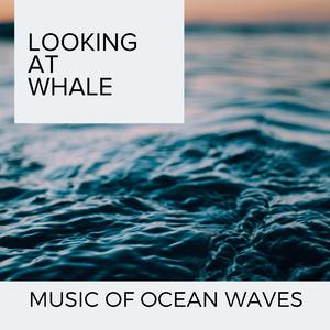 Ocean Wave And Drizzle