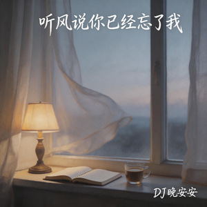 听风说你已经忘了我