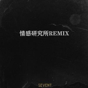董克汉姆-情感研究所（SevenT remix）