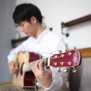 花水木(ハナミズキ)