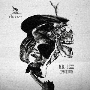 Spectrum (Original Mix)