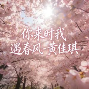 你来时我遇春风 (烟嗓版)