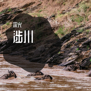 涉川（cover 不才）