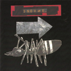 Mariana's Butterflies