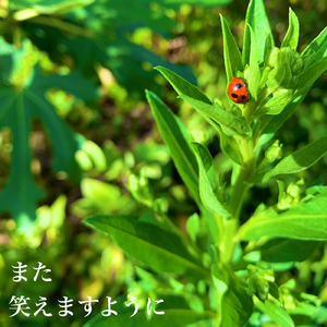 また笑えますように