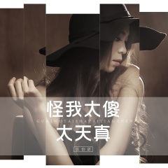 怪我太傻太天真 (DJ版)