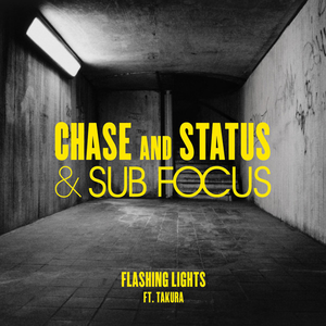 Flashing Lights (Radio Edit)