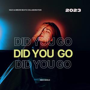 Did You Go (feat. Brezie)