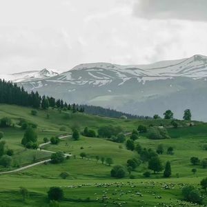 寻找迷失的自己