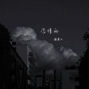 念情雨