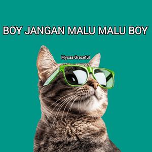 BOY JANGAN MALU MALU BOY