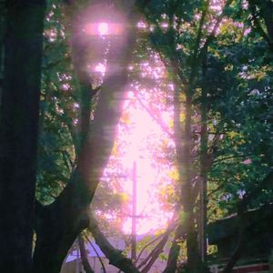 Mystery Of Love(Slow)