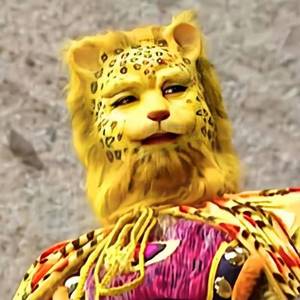 这个世界不会好