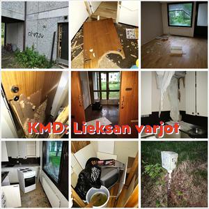 Lieksan varjot (Lieksa-trilogia, osa 2)