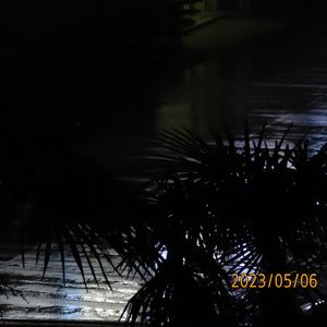 在遥远的地方靠岸