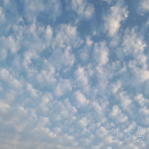 Scarecrow who hates birds