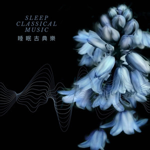 艾爾加 愛的禮讚