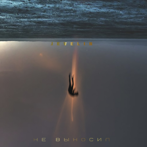Не выносил