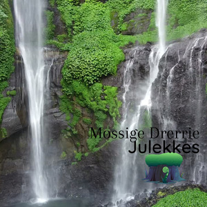 Kakelaar