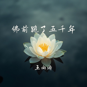 佛前跪了五千年