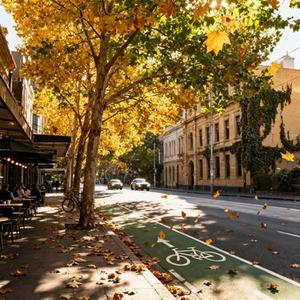 墨尔本的秋天 (Cover 王梓琪)