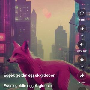 Eşşek geldin eşşek gidecen (Aı Remix)