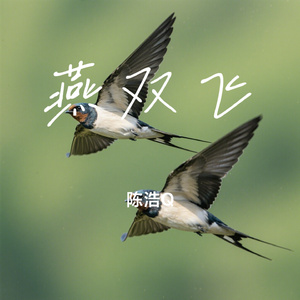 燕双飞