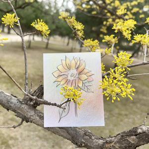 시간을 돌릴 수 있다면(If I can turn back time)