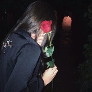 Roses2