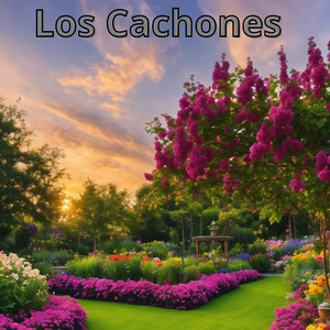 Los Cachones