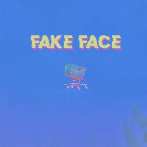Fake Face