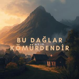 Bu Dağlar Kömürdendir