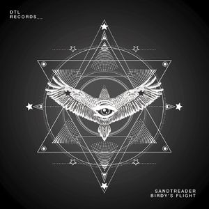 Birdy's Flight (Original Mix)