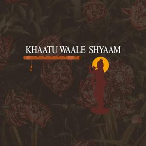 Khaatu waale shyaam (Live)