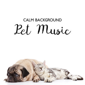 Active Walk with Pets Music