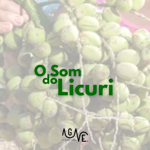 O Jazz do Licuri - Tesouro (Acoustic)