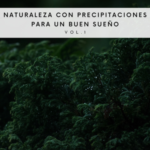 Gotas Por La Mañana