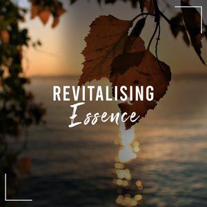 Inspired Beginnings