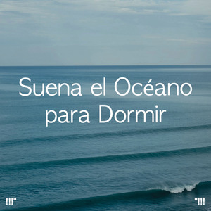 大海之声深睡眠