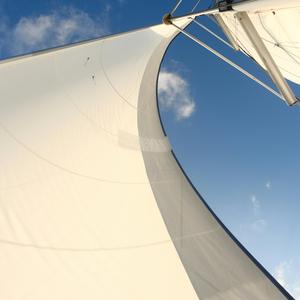 Wind in the Sails