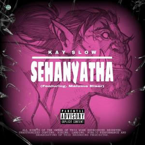 Sehanyatha (feat. Malume Riser) (Radio Edit)