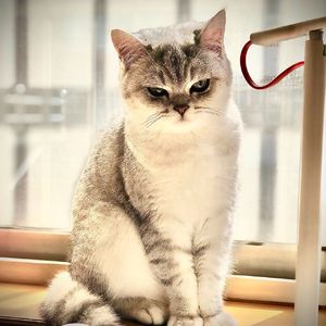 世界が终るまでは…