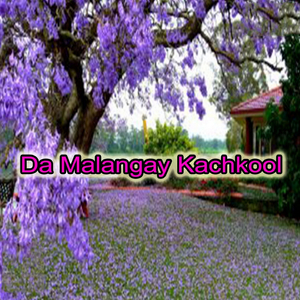 Da Wayali De Zamoong Nabi Akram