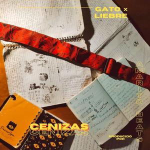 Asesinato Sostenible (feat. Amarito)