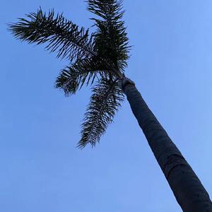 闹剧 （Prod by MEGA）