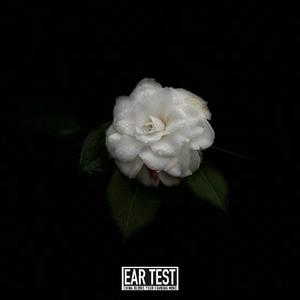 山茶花Camellia(Prod By MEGA)