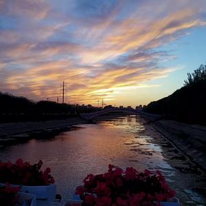 生日快乐（哭丧版）