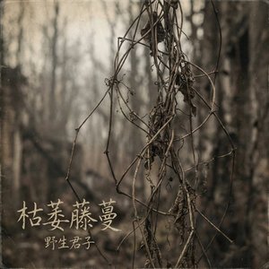 枯萎藤蔓