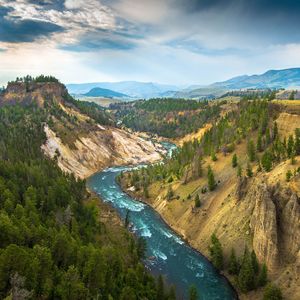 回答的回答