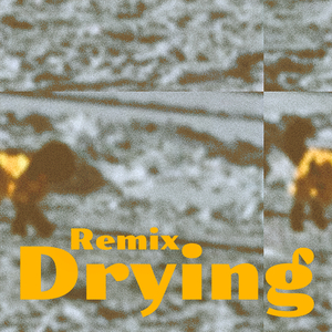 Drying (Silver Firs Remix)